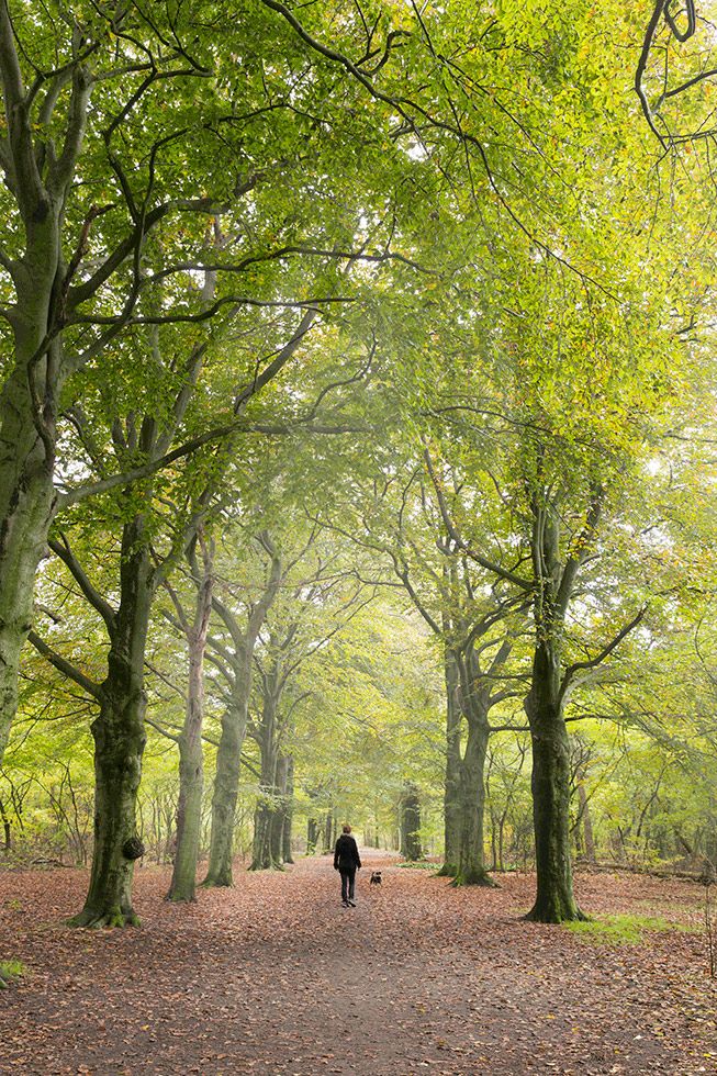 © Clicking Images | Vrij werk | Diverse portretten